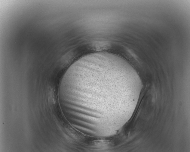 X0000062630316200512231020