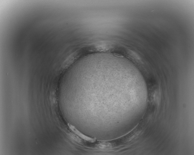 X0000062630317200512231020