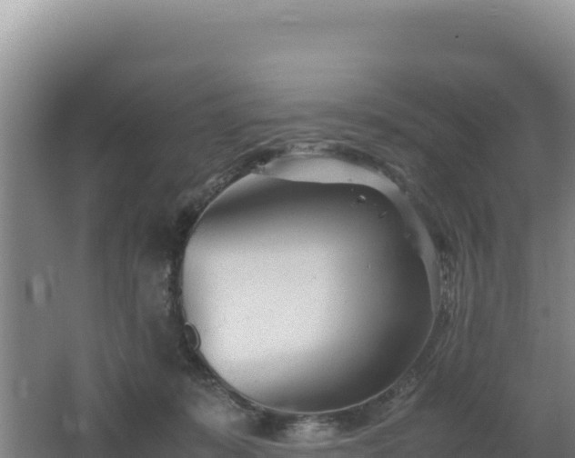 X0000062630319200512231020