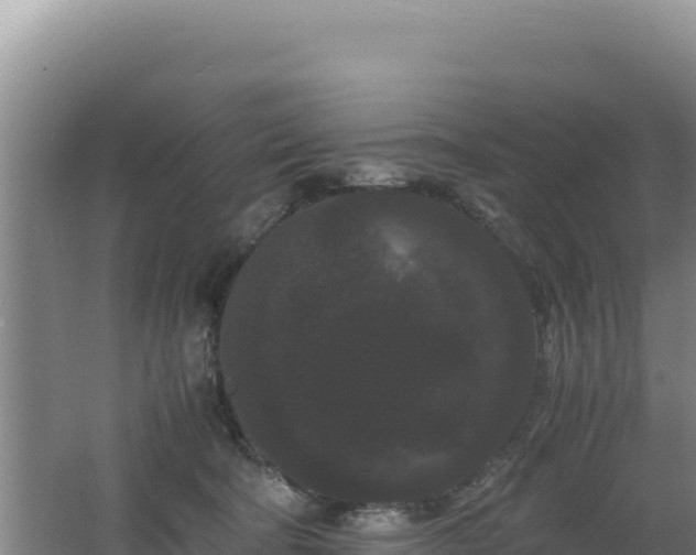 X0000062630322200512231020