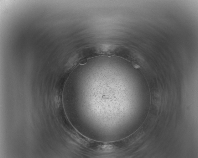 X0000062630324200512231020