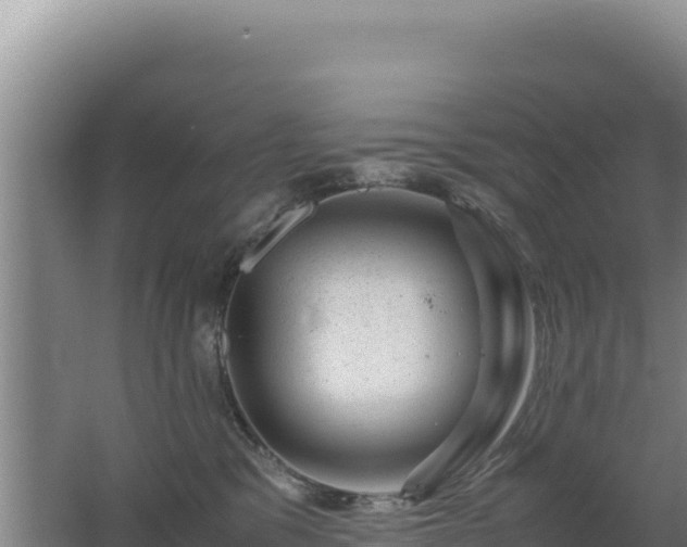 X0000062630329200512231020