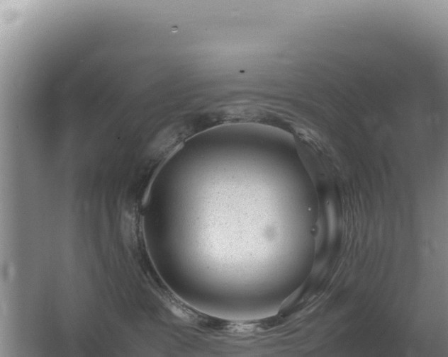 X0000062630333200512231020