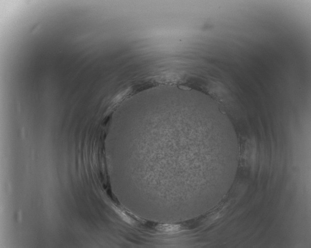 X0000062630334200512231020