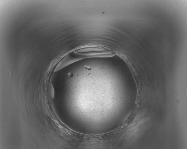 X0000062630337200512231019