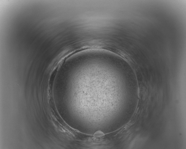 X0000062630338200512231019