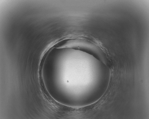 X0000062630340200512231019