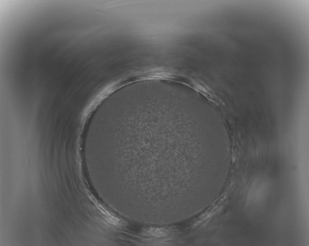 X0000062630341200512231019