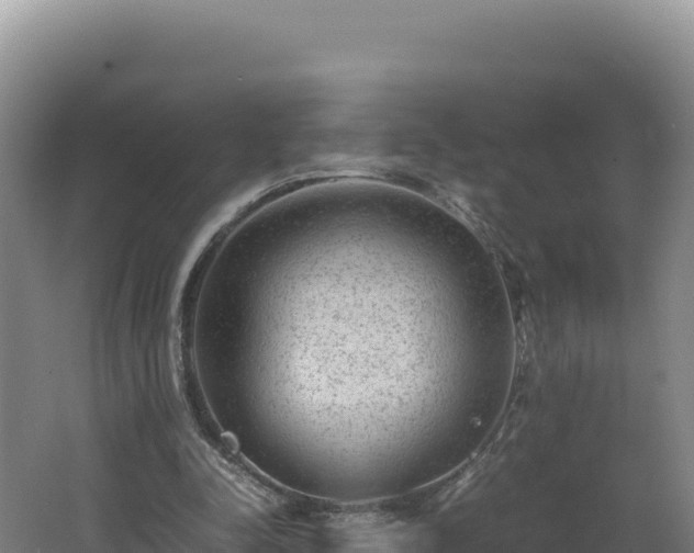 X0000062630342200512231019