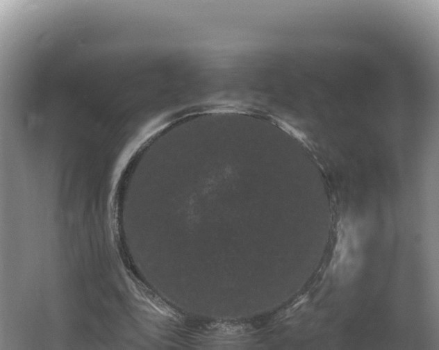 X0000062630343200512231019