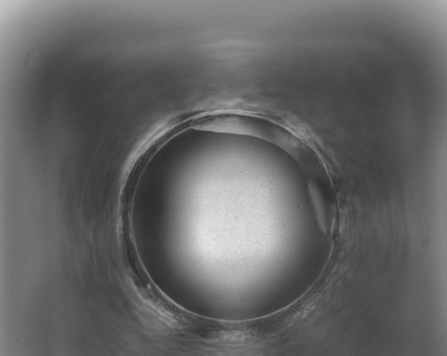 X0000062630344200512231019