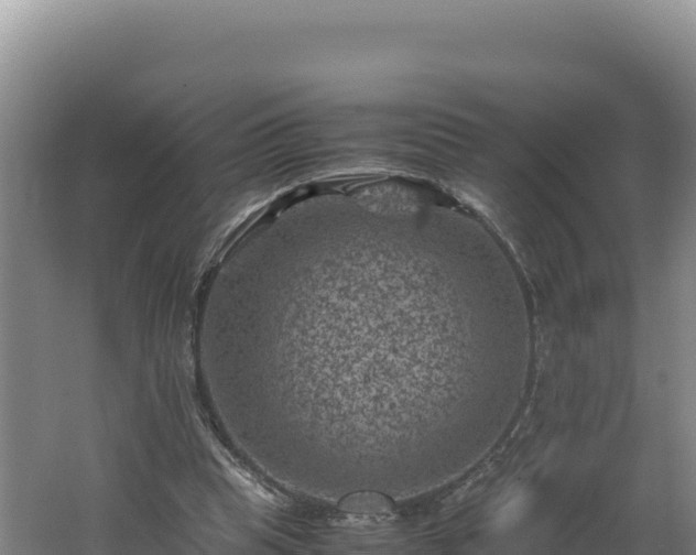 X0000062630345200512231019