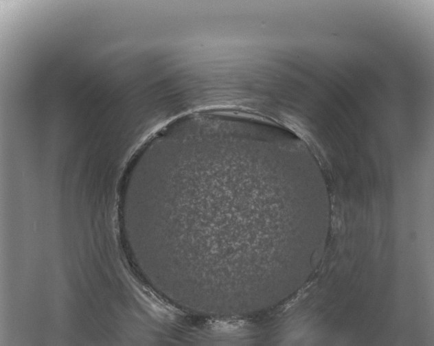 X0000062630346200512231019