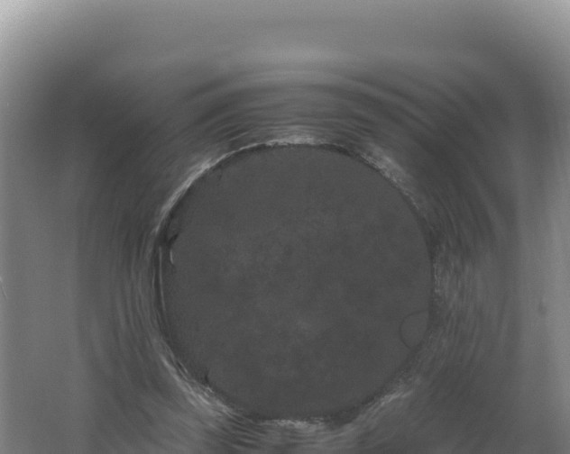 X0000062630347200512231019