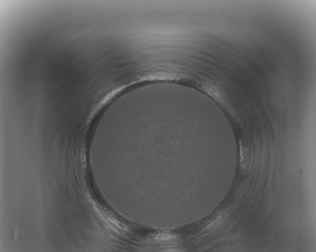 X0000062630348200512231019