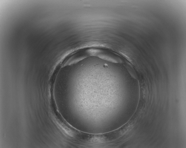 X0000062630350200512231019