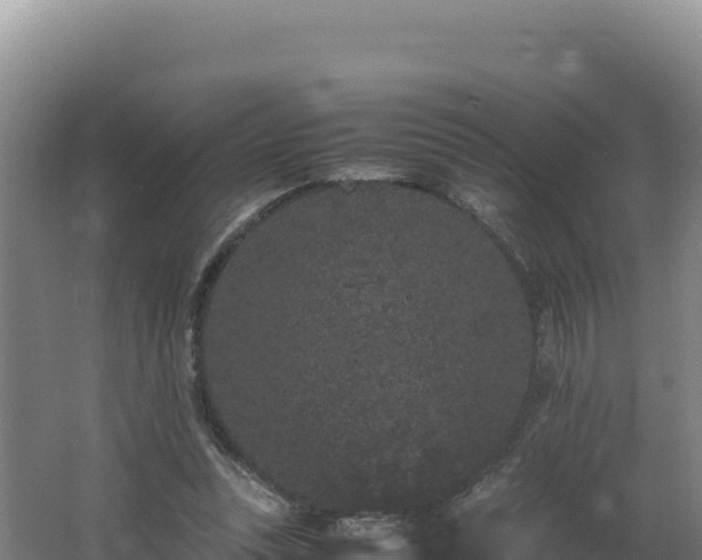 X0000062630351200512231019