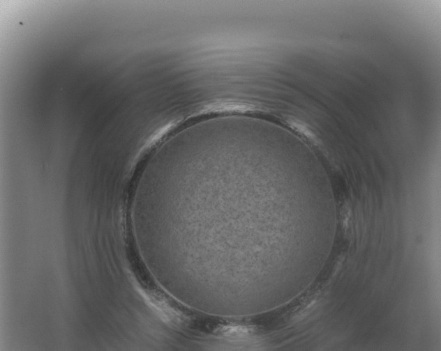 X0000062630352200512231019