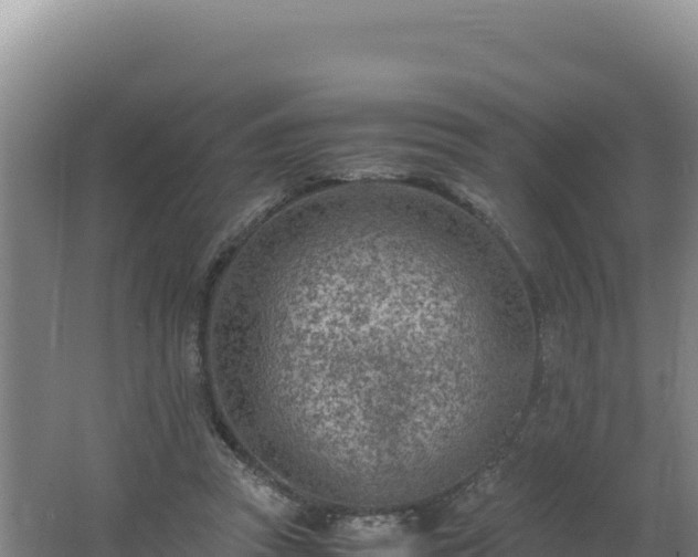 X0000062630353200512231019