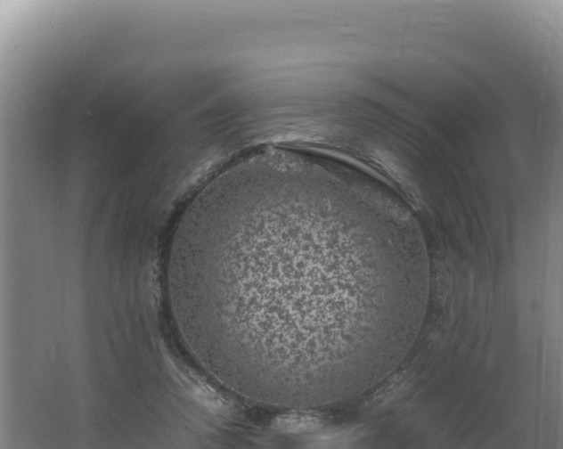 X0000062630354200512231019