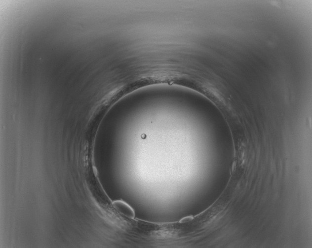 X0000062630356200512231020