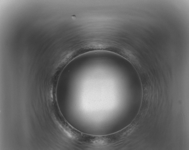 X0000062630358200512231020