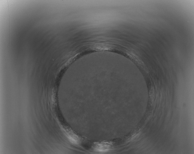 X0000062630359200512231020