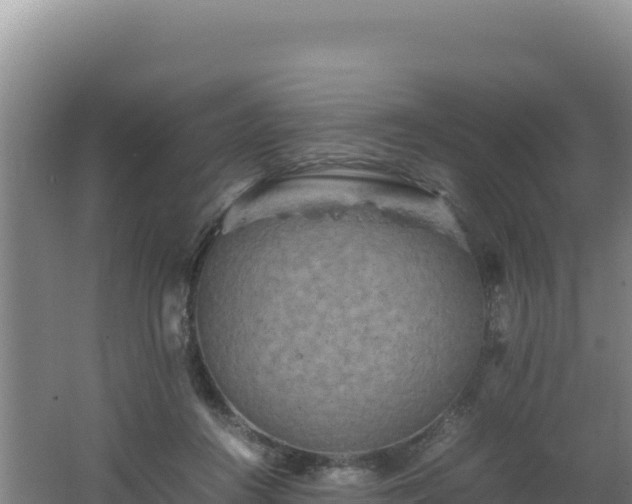 X0000062630360200512231020