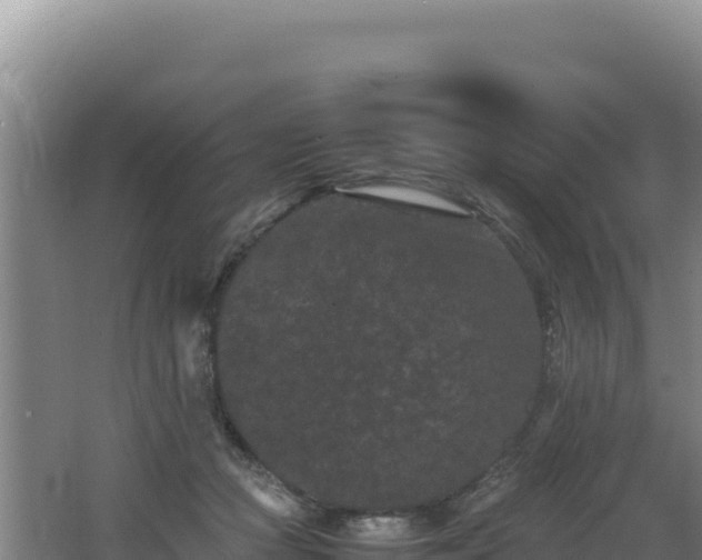 X0000062630361200512231020