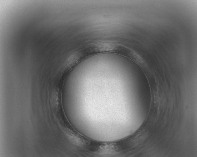 X0000062630362200512231020