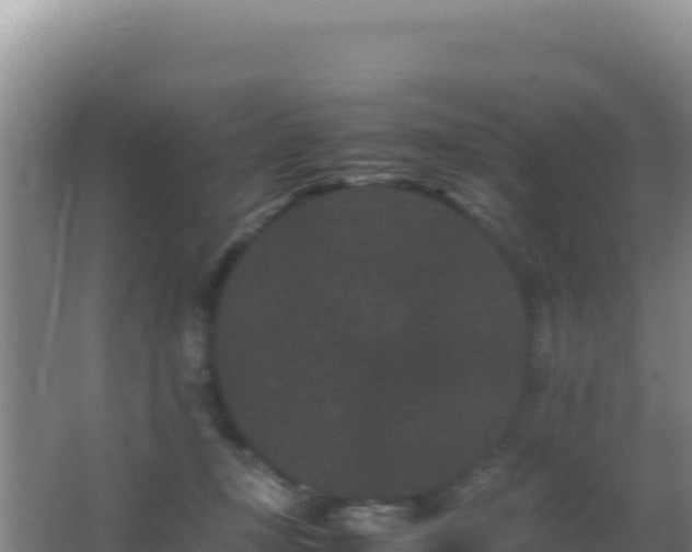 X0000062630367200512231020