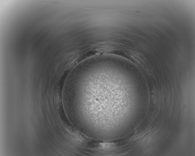 X0000062630371200512231020