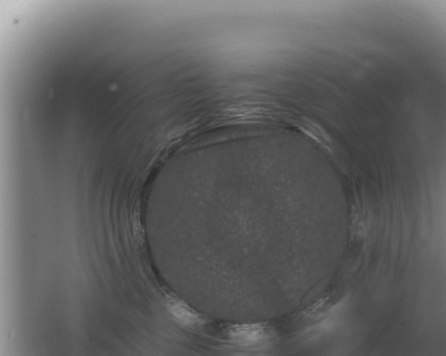 X0000062630377200512231020