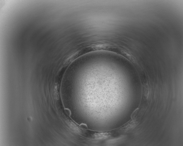 X0000062630378200512231020