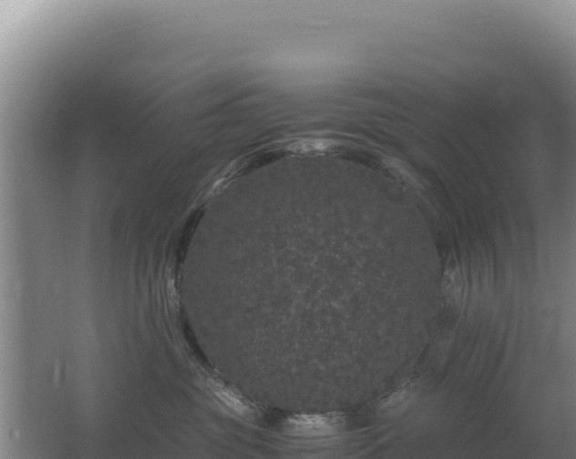 X0000062630381200512231020