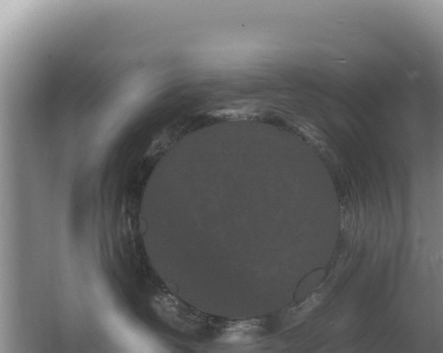 X0000062630382200512231020