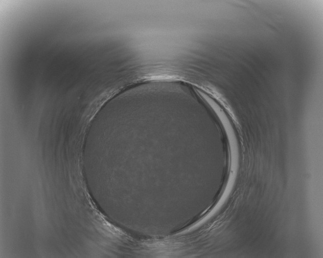 X0000062630385200512231019