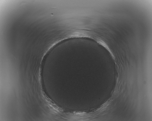 X0000062630387200512231019