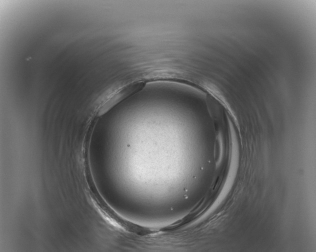 X0000062630389200512231019