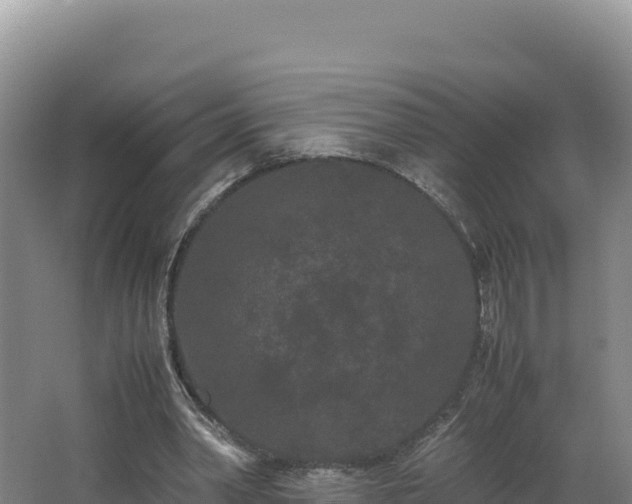 X0000062630390200512231019