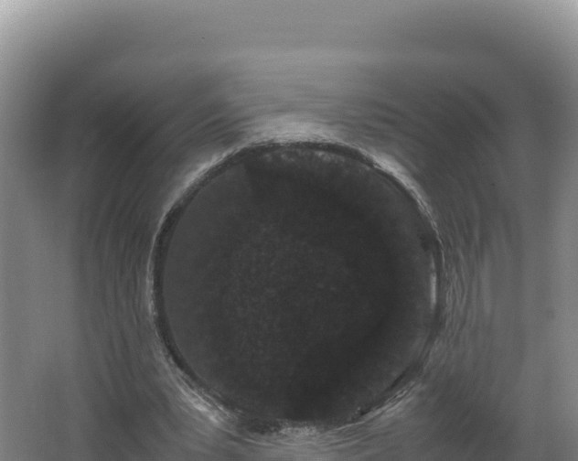 X0000062630391200512231019