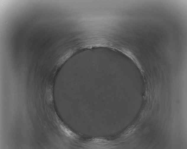 X0000062630393200512231019