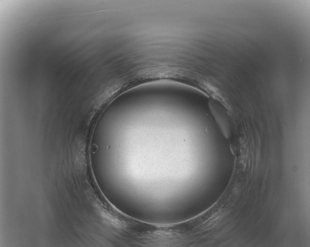 X0000062630394200512231019