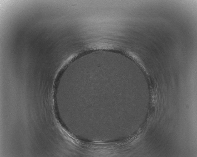 X0000062630395200512231019