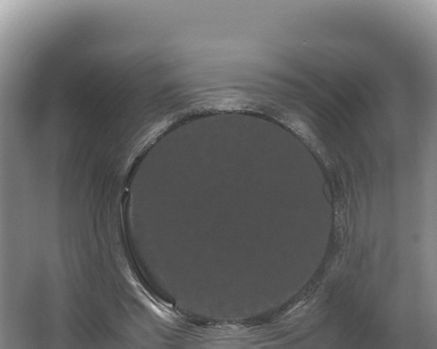 X0000062630397200512231019