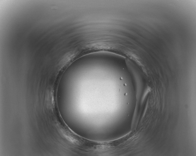 X0000062630398200512231019