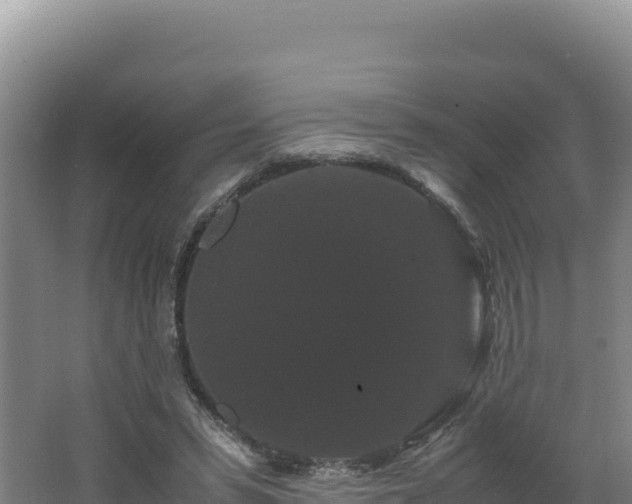 X0000062630399200512231019