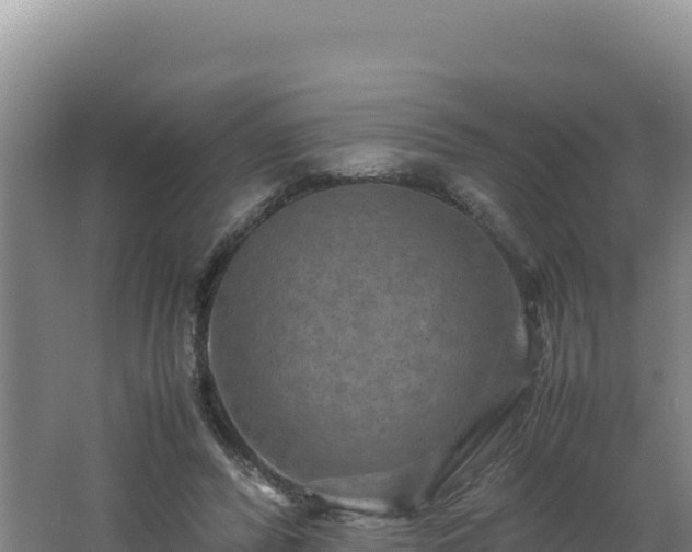 X0000062630400200512231019