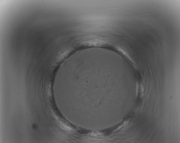 X0000062630403200512231019