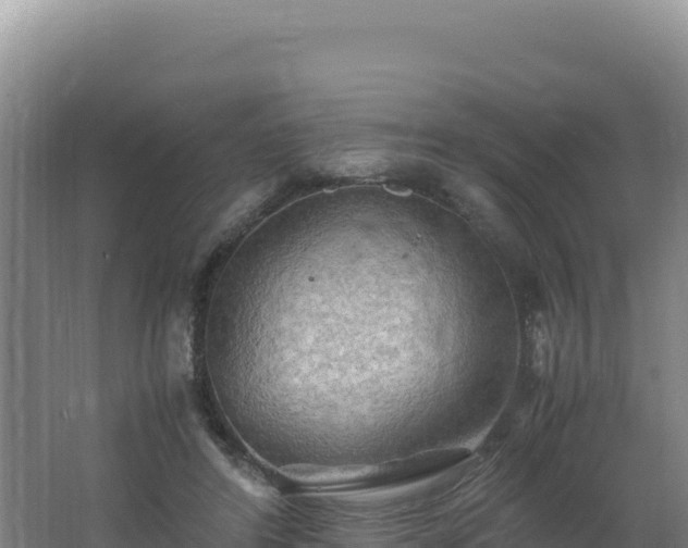 X0000062630404200512231019